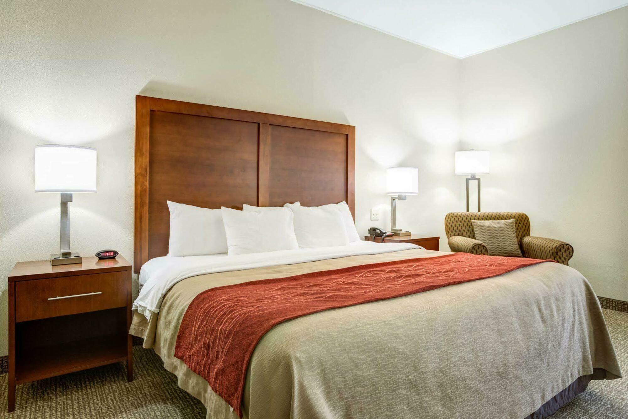 Comfort Inn & Suites Clemson - University Area Екстер'єр фото